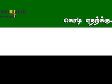 Why This Flag